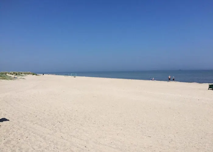 Strandroggen Schillig